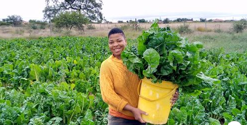 Matome Cynthia Mokgobu