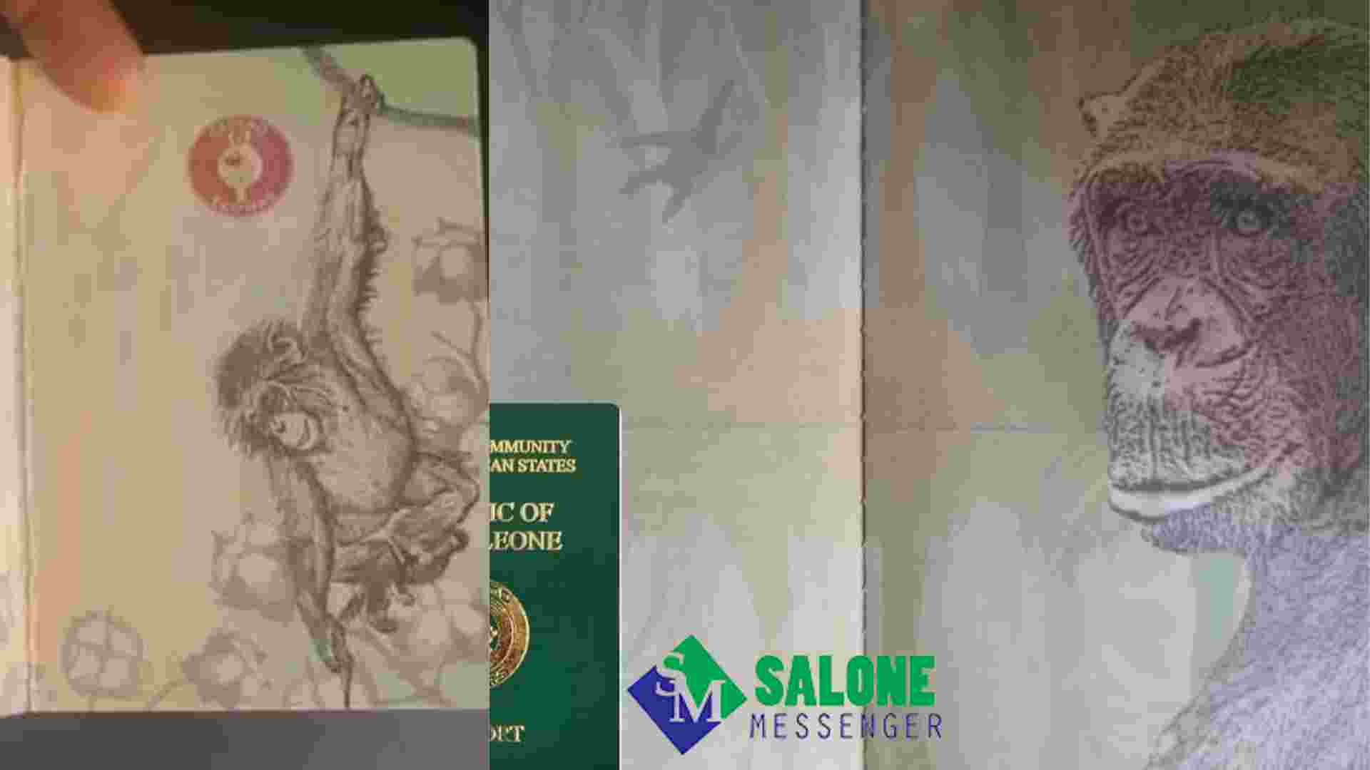 New passport Design with Chimp spikes mixed reactions New passport Design with Chimp spikes mixed reactions