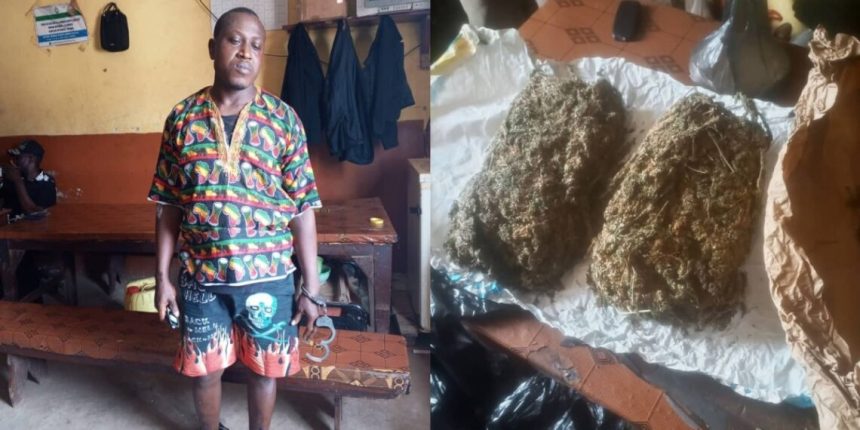 Fourah Bay Community Drug Lord Captured by Sierra Leone Police