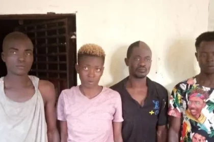 Kush Distributors Arrested in Freetown