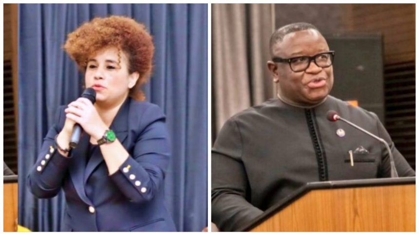 Basita Michael Criticizes Government for Focusing on Image Rather Than Concrete Progress