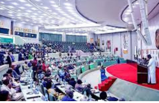 ECOWAS Declares State of Emergency in West Africa