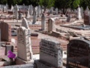 Sierra Leone Records 17,905 Deaths in 2025—See the Reason Sierra Leone Records 17,905 Deaths in 2025—See the Reason