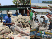 February Fishing Closure Begins With No Relief Plan for Tombo Fishermen February Fishing Closure Begins With No Relief Plan for Tombo Fishermen