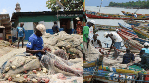 February Fishing Closure Begins With No Relief Plan for Tombo Fishermen February Fishing Closure Begins With No Relief Plan for Tombo Fishermen