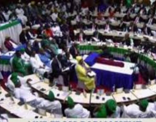 MPs Ratify Govt, Rainforest Builders Long-Term Climate Partnership MPs Ratify Govt, Rainforest Builders Long-Term Climate Partnership