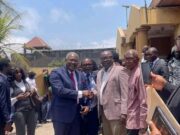 Joseph Fitzgerald Kamara says he has joined efforts to push for Zainab Sheriff’s release