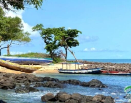 Sierra Leone Secures First UNESCO World Heritage Site as Tourist Arrivals Surge Sierra Leone Secures First UNESCO World Heritage Site as Tourist Arrivals Surge
