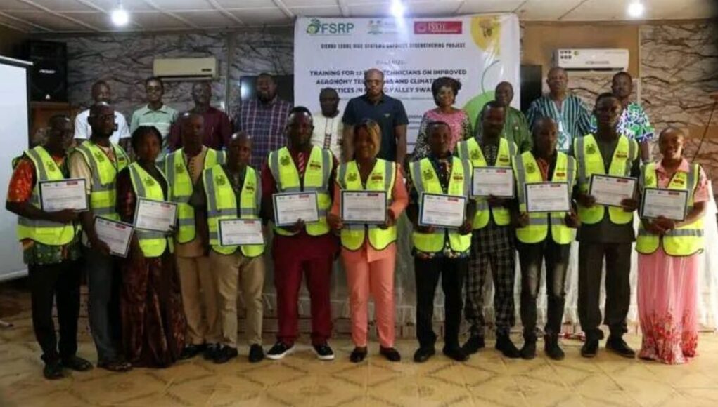 Twelve Rice Technicians Complete Climate-Smart Training